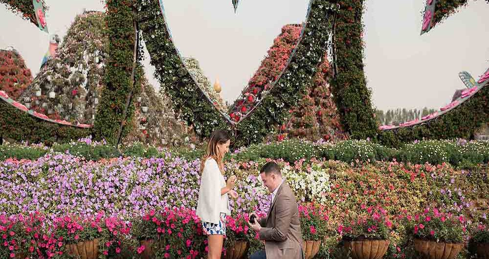 Couple proposing in Dubai Miracle Garden